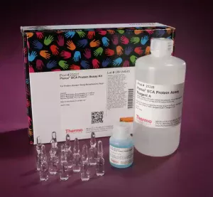 Thermo Scientific Pierce™ BCA Protein Assay Kit- SKU: 23227