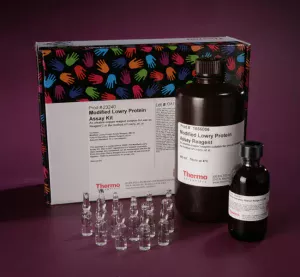 Thermo Scientific™ Pierce™ Modified Lowry Protein Assay Kit