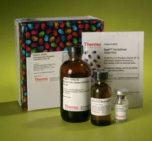 Thermo Scientific™ Pierce™ Phosphoprotein Phosphate Estimation Assay Kit