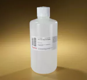 Thermo Scientific™ Pierce™ Concentrated Buffer Stocks (10X and 20X) X