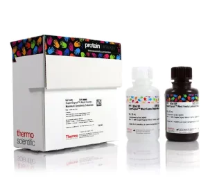 Thermo Scientific™ SuperSignal™ West Femto Maximum Sensitivity Substrate