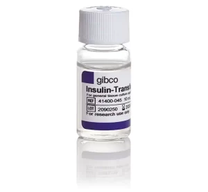 Gibco ™ Insulin Transferrin Selenium (ITS-G) (100X) SKU: 41400045