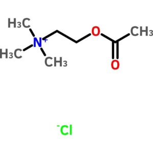 Acetylcholine Chloride