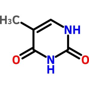 Thymine