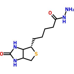 Biotin Hydrazide