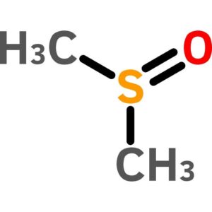 Dimethyl Sulfoxide