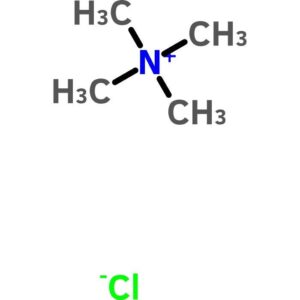 Tetramethylammonium Chloride