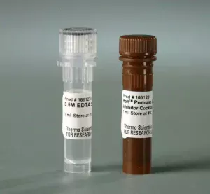 Thermo Scientific™ Halt™ Protease and Phosphatase Inhibitor Cocktail (100X)