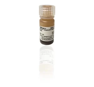 Thermo Scientific™ Pierce™ Streptavidin Magnetic Beads