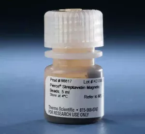 Streptavidin Magnetic Beads