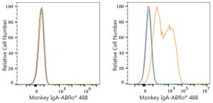ABflo® 488 Rabbit anti-Monkey IgA mAb