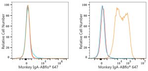ABflo® 647 Rabbit anti-Monkey IgA mAb