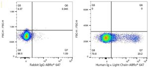 ABflo® 647 Rabbit anti-Human Ig κ Light Chain mAb