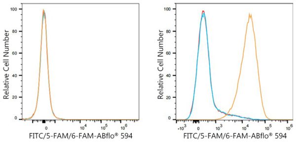 ABflo® 594 Rabbit anti-FITC/5-FAM/6-FAM mAb