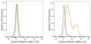 ABflo® 647 Rabbit anti-Mouse CD262/TRAILR2 mAb