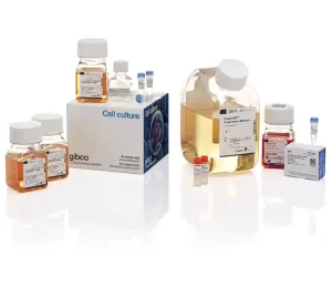 Gibco™ ExpiCHO™ Expression System Kit