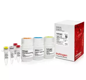 TaqMan™ Fast Advanced Cells-to-CT™ Kit X