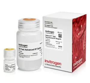 Invitrogen™Cells-to-CT™ Bulk Fast Advanced RT Reagents X