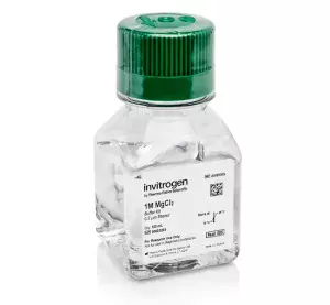 Invitrogen™ MgCl2 (1 M)