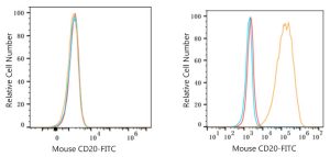 FITC-conjugated Goat anti-Rat IgG (H+L)