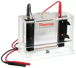 Thermo Scientific™ Owl™ P81 Single-Sided Vertical Electrophoresis System, 10 x 10cm gel size, 150mL buffer volume