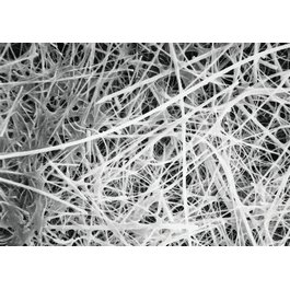 Osmonics PreSep Glass Prefilters, Type G15, Dia. (mm): 124