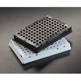 Simport Amplate Opaque Skirted 384-Well Thin Wall PCR Plates, 40 uL, White