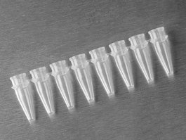 0.2 ml Thin Wall PCR Tube Domed Caps, 8 Per Strip, Clear