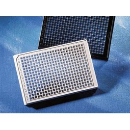 384 Well Black Round Bottom Polypropylene Not Treated Microplate, 25 per Bag, without Lid, Non-sterile