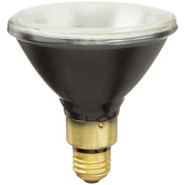 Replacement Bulb, 100W Spot, Medium Base (B100)