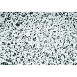 PolySep, Polypropylene, White, Plain, 0.22 Micron, 90mm