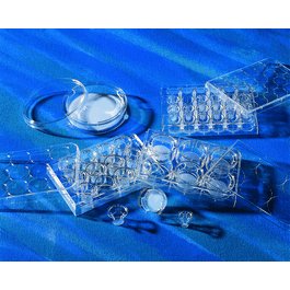 Transwell Sterile Inserts with Plates, Polycarbonate, 12 Well, 0.4 um, 12 mm