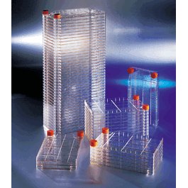 Corning CellSTACK 2-Chamber Tissue Culture Treated Polystyrene Culture Chamber, 1272 cm2, Sterile