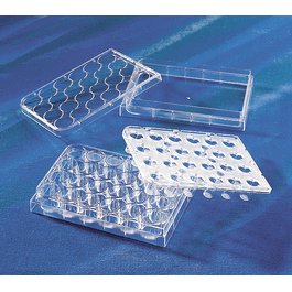 HTS Transwell -24 Well Permeable Support with 0.4um Pore Polycarbonate Membrane and 6.5 mm Inserts, Sterile