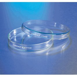 60 x 15 mm Petri Dish with Cover