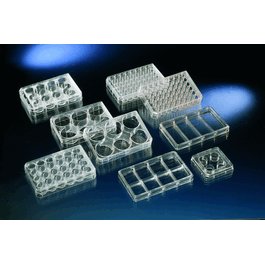 Nunc 8-Well Cell-Culture Treated Multidishes with Lid, Rectangular Wells, 10.5 cm2, 128 x 86 mm, Sterile