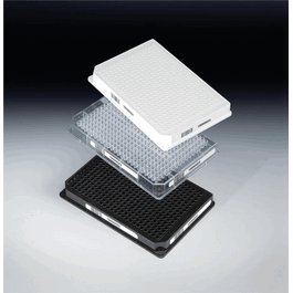 Thermo Scientific Nunc 384 Well Plt PS Non-Treated Shallow Std HT NS w/o Lid Blk, 20 ul Well