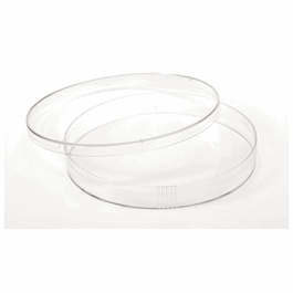 Thermo Scientific Nunc Petri Dish Square w/Lid and Vent Sterile PS, 100 x 17 mm