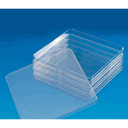 Low Profile BioAssay Dish 215 mL, 241 x 241 x 20 mm, 478 cm2