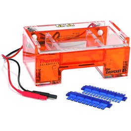 Owl B1 Rapid Load 9 Well Comb, 1.5mm
