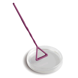 Disposable Delta Sterile Cell Spreader