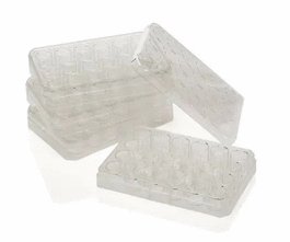 Nunc Polycarbonate Cell Culture Inserts in 12-Well Plate, 0.4 um