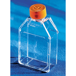 25 cm2 Rectangular Canted Neck Cell Culture Flask with Vent Cap