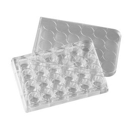Costar 24 Well Clear Not Treated Multiple Well Plates, Bulk Pack, Sterile
