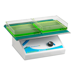 Benchmark Scientific Everlast 247 Rocker with Flat Mat, 115V