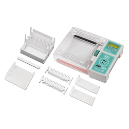 Large Gel Tray Set (12.5 x 12 cm), pack of 2