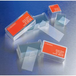 Square No. 2 Cover Glass, 22 x 22 mm