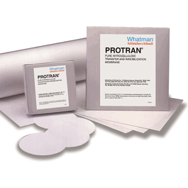 Cytiva Protran BA85 Nitrocellulose Blotting Membrane, 0.45 um, 82 mm, circle