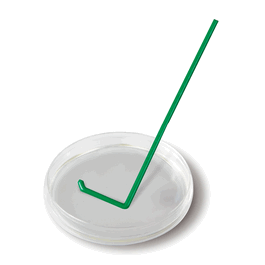 L-Shape Spreaders, 10 spreaders per zip bag, sterile