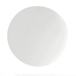 Cytiva Grade 598 Qualitative Filter Paper, Circle, 90 mm